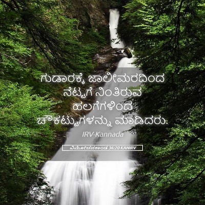 Picture 05 - ವಿಮೋಚನಕಾಂಡ 36:20 KANIRV - ಗುಡಾರಕ್ಕೆ - Bible Verse Picture