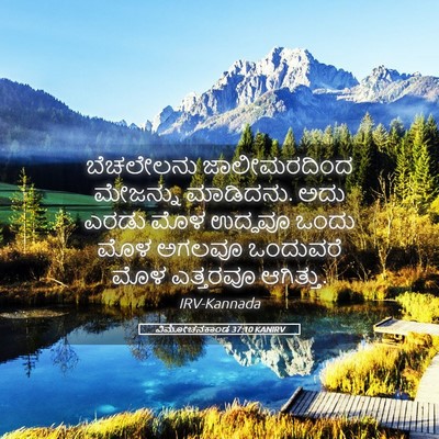 Picture 05 - ವಿಮೋಚನಕಾಂಡ 37:10 KANIRV - ಬೆಚಲೇಲನು - Bible Verse Picture