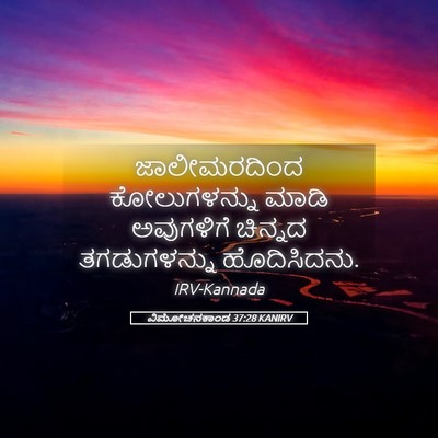 Picture 05 - ವಿಮೋಚನಕಾಂಡ 37:28 KANIRV - ಜಾಲೀಮರದಿಂದ - Bible Verse Picture
