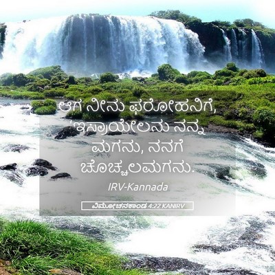 Picture 05 - ವಿಮೋಚನಕಾಂಡ 4:22 KANIRV - ಆಗ ನೀನು ಫರೋಹನಿಗೆ, - Bible Verse Picture