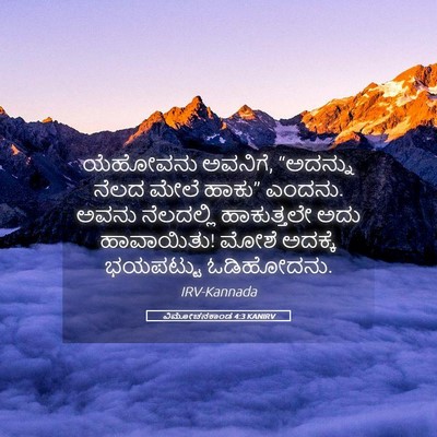Picture 05 - ವಿಮೋಚನಕಾಂಡ 4:3 KANIRV - ಯೆಹೋವನು ಅವನಿಗೆ, - Bible Verse Picture