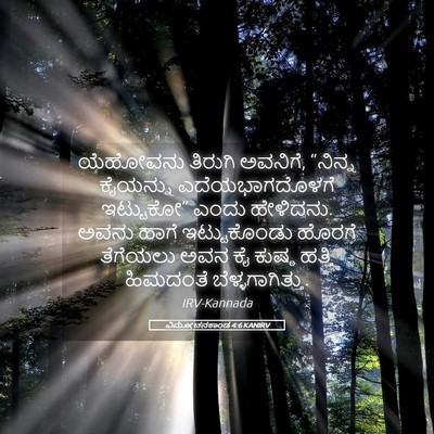 Picture 05 - ವಿಮೋಚನಕಾಂಡ 4:6 KANIRV - ಯೆಹೋವನು ತಿರುಗಿ - Bible Verse Picture