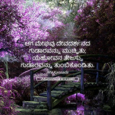 Picture 05 - ವಿಮೋಚನಕಾಂಡ 40:34 KANIRV - ಆಗ ಮೇಘವು - Bible Verse Picture