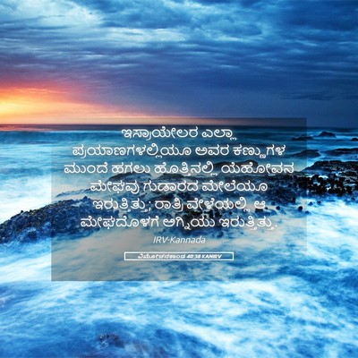 Picture 05 - ವಿಮೋಚನಕಾಂಡ 40:38 KANIRV - ಇಸ್ರಾಯೇಲರ ಎಲ್ಲಾ - Bible Verse Picture