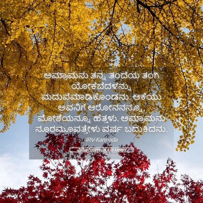 Picture 05 - ವಿಮೋಚನಕಾಂಡ 6:20 KANIRV - ಅಮ್ರಾಮನು ತನ್ನ - Bible Verse Picture