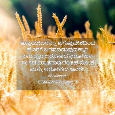 Picture 05 - ವಿಮೋಚನಕಾಂಡ 6:27 KANIRV - ಇಸ್ರಾಯೇಲರನ್ನು - Bible Verse Picture