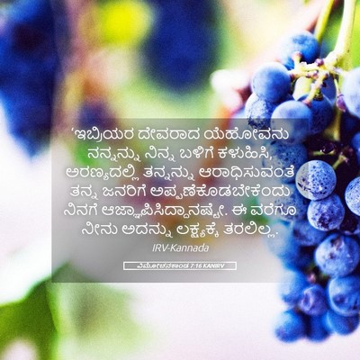 Picture 05 - ವಿಮೋಚನಕಾಂಡ 7:16 KANIRV - ‘ಇಬ್ರಿಯರ ದೇವರಾದ - Bible Verse Picture