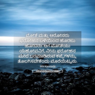Picture 05 - ವಿಮೋಚನಕಾಂಡ 8:12 KANIRV - ಮೋಶೆ ಮತ್ತು ಆರೋನರು - Bible Verse Picture