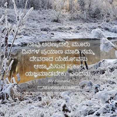 Picture 05 - ವಿಮೋಚನಕಾಂಡ 8:27 KANIRV - ನಾವು ಅರಣ್ಯದಲ್ಲಿ - Bible Verse Picture