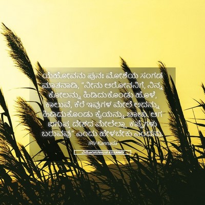 Picture 05 - ವಿಮೋಚನಕಾಂಡ 8:5 KANIRV - ಯೆಹೋವನು ಪುನಃ - Bible Verse Picture