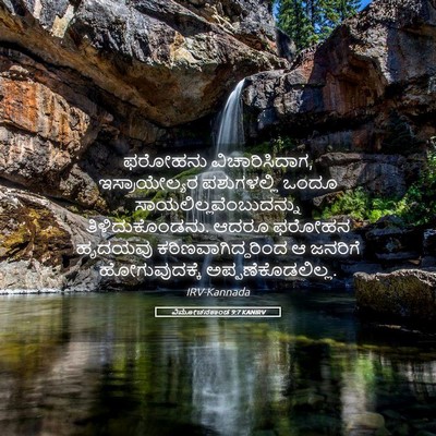 Picture 05 - ವಿಮೋಚನಕಾಂಡ 9:7 KANIRV - ಫರೋಹನು - Bible Verse Picture