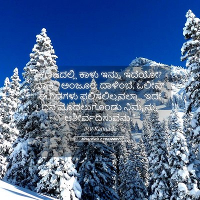 Picture 05 - ಹಗ್ಗಾಯನು 2:19 KANIRV - ಕಣಜದಲ್ಲಿ ಕಾಳು - Bible Verse Picture