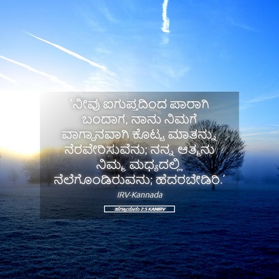 Picture 05 - ಹಗ್ಗಾಯನು 2:5 KANIRV - ‘ನೀವು ಐಗುಪ್ತದಿಂದ - Bible Verse Picture