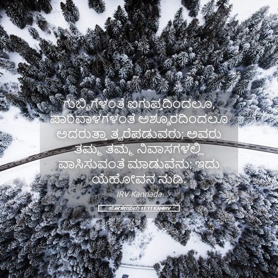 Picture 05 - ಹೋಶೇಯನು 11:11 KANIRV - ಗುಬ್ಬಿಗಳಂತೆ - Bible Verse Picture