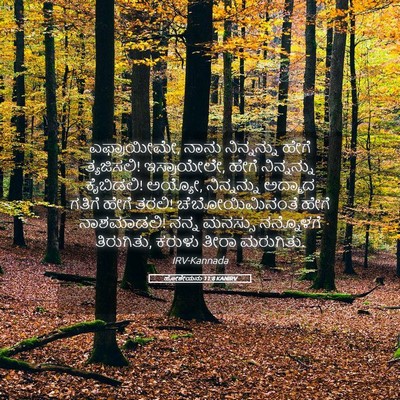 Picture 05 - ಹೋಶೇಯನು 11:8 KANIRV - ಎಫ್ರಾಯೀಮೇ, ನಾನು - Bible Verse Picture