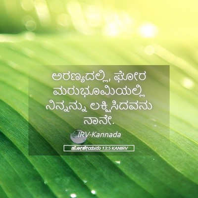 Picture 05 - ಹೋಶೇಯನು 13:5 KANIRV - ಅರಣ್ಯದಲ್ಲಿ, ಘೋರ - Bible Verse Picture