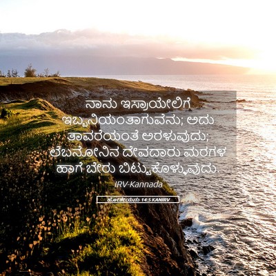Picture 05 - ಹೋಶೇಯನು 14:5 KANIRV - ನಾನು ಇಸ್ರಾಯೇಲಿಗೆ - Bible Verse Picture