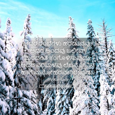 Picture 05 - ಹೋಶೇಯನು 14:6 KANIRV - ಅದರ ರೆಂಬೆಗಳು - Bible Verse Picture