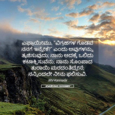 Picture 05 - ಹೋಶೇಯನು 14:8 KANIRV - ಎಫ್ರಾಯೀಮು, - Bible Verse Picture