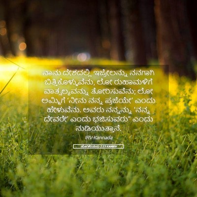 Picture 05 - ಹೋಶೇಯನು 2:23 KANIRV - ನಾನು ದೇಶದಲ್ಲಿ - Bible Verse Picture