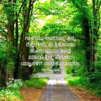 Picture 05 - ಹೋಶೇಯನು 4:19 KANIRV - ಗಾಳಿಯು ಅವರನ್ನು - Bible Verse Picture