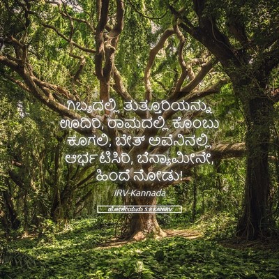 Picture 05 - ಹೋಶೇಯನು 5:8 KANIRV - ಗಿಬ್ಯದಲ್ಲಿ - Bible Verse Picture