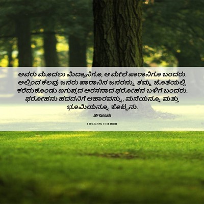 Picture 06 - 1 ಅರಸುಗಳು 11:18 KANIRV - ಅವರು ಮೊದಲು - Bible Verse Picture