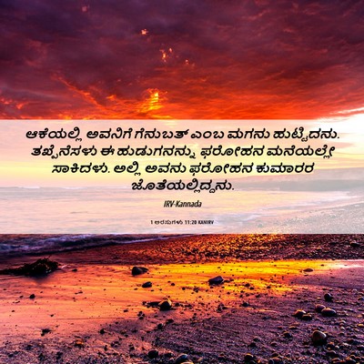 Picture 06 - 1 ಅರಸುಗಳು 11:20 KANIRV - ಆಕೆಯಲ್ಲಿ ಅವನಿಗೆ - Bible Verse Picture