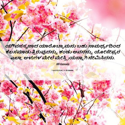Picture 06 - 1 ಅರಸುಗಳು 11:28 KANIRV - ಯೌವನಸ್ಥನಾದ - Bible Verse Picture