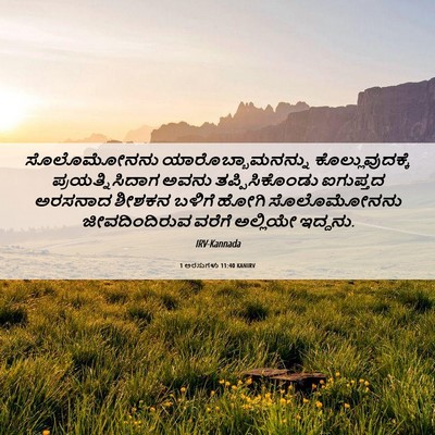 Picture 06 - 1 ಅರಸುಗಳು 11:40 KANIRV - ಸೊಲೊಮೋನನು - Bible Verse Picture