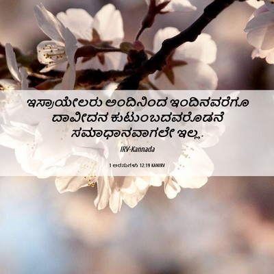 Picture 06 - 1 ಅರಸುಗಳು 12:19 KANIRV - ಇಸ್ರಾಯೇಲರು - Bible Verse Picture