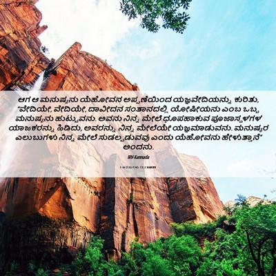 Picture 06 - 1 ಅರಸುಗಳು 13:2 KANIRV - ಆಗ ಆ ಮನುಷ್ಯನು - Bible Verse Picture