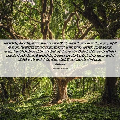 Picture 06 - 1 ಅರಸುಗಳು 13:26 KANIRV - ಅವನನ್ನು ಹಿಂದಕ್ಕೆ - Bible Verse Picture