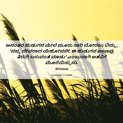 Picture 06 - 1 ಅರಸುಗಳು 17:21 KANIRV - ಆನಂತರ ಹುಡುಗನ ಮೇಲೆ - Bible Verse Picture