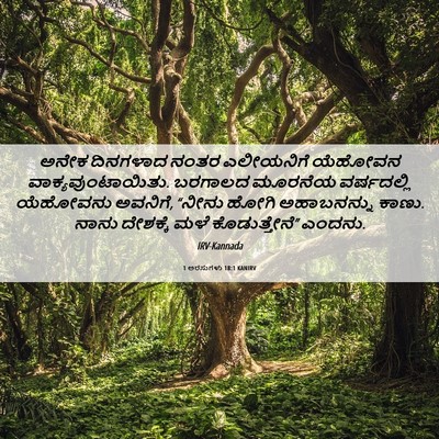 Picture 06 - 1 ಅರಸುಗಳು 18:1 KANIRV - ಅನೇಕ ದಿನಗಳಾದ ನಂತರ - Bible Verse Picture