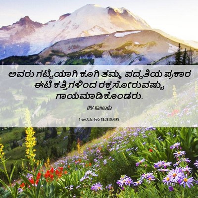 Picture 06 - 1 ಅರಸುಗಳು 18:28 KANIRV - ಅವರು ಗಟ್ಟಿಯಾಗಿ - Bible Verse Picture