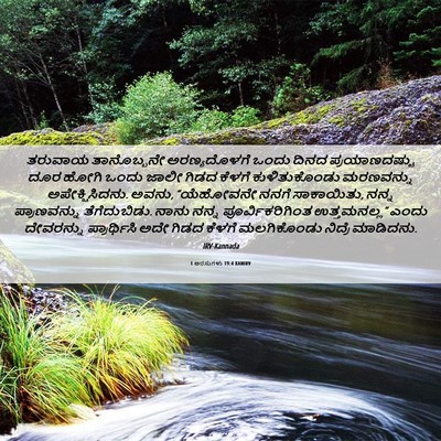 Picture 06 - 1 ಅರಸುಗಳು 19:4 KANIRV - ತರುವಾಯ ತಾನೊಬ್ಬನೇ - Bible Verse Picture