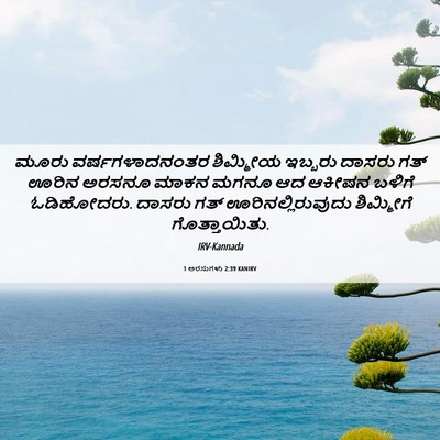 Picture 06 - 1 ಅರಸುಗಳು 2:39 KANIRV - ಮೂರು ವರ್ಷಗಳಾದನಂತರ - Bible Verse Picture