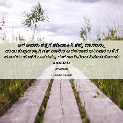 Picture 06 - 1 ಅರಸುಗಳು 2:40 KANIRV - ಆಗ ಅವನು ಕತ್ತೆಗೆ - Bible Verse Picture