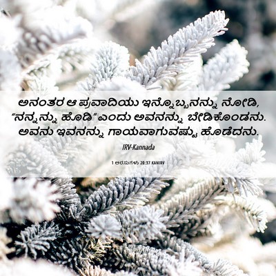 Picture 06 - 1 ಅರಸುಗಳು 20:37 KANIRV - ಅನಂತರ ಆ ಪ್ರವಾದಿಯು - Bible Verse Picture