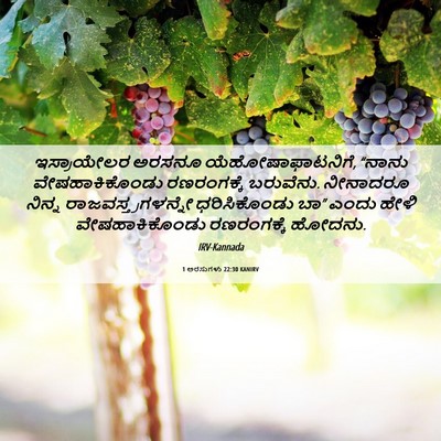Picture 06 - 1 ಅರಸುಗಳು 22:30 KANIRV - ಇಸ್ರಾಯೇಲರ ಅರಸನೂ - Bible Verse Picture