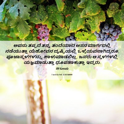 Picture 06 - 1 ಅರಸುಗಳು 22:43 KANIRV - ಅವನು ತಪ್ಪದೆ ತನ್ನ - Bible Verse Picture