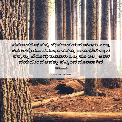 Picture 06 - 1 ಅರಸುಗಳು 5:4 KANIRV - ನನಗಾದರೋ ನನ್ನ - Bible Verse Picture