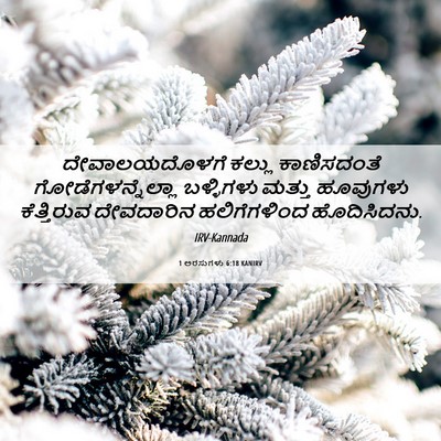 Picture 06 - 1 ಅರಸುಗಳು 6:18 KANIRV - ದೇವಾಲಯದೊಳಗೆ ಕಲ್ಲು - Bible Verse Picture