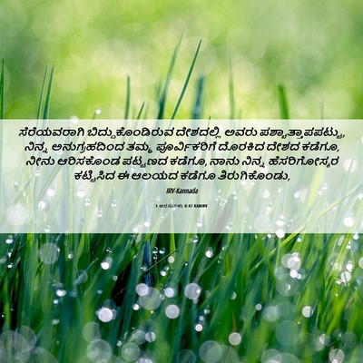 Picture 06 - 1 ಅರಸುಗಳು 8:47 KANIRV - ಸೆರೆಯವರಾಗಿ - Bible Verse Picture