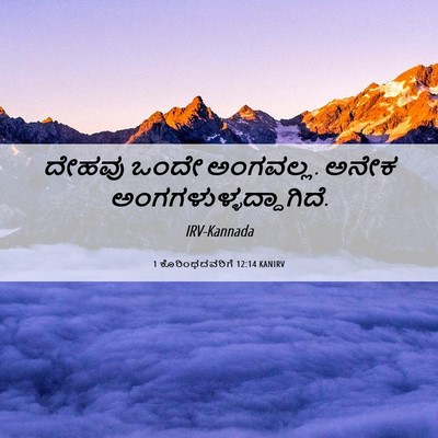 Picture 06 - 1 ಕೊರಿಂಥದವರಿಗೆ 12:14 KANIRV - ದೇಹವು ಒಂದೇ - Bible Verse Picture