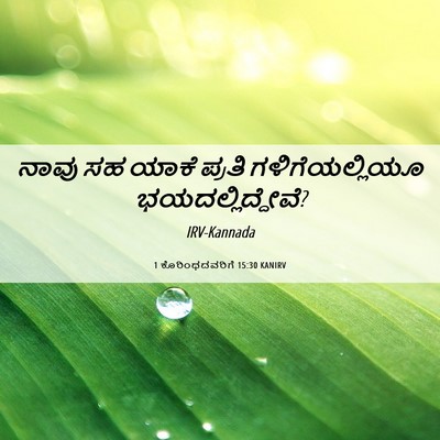 Picture 06 - 1 ಕೊರಿಂಥದವರಿಗೆ 15:30 KANIRV - ನಾವು ಸಹ ಯಾಕೆ ಪ್ರತಿ - Bible Verse Picture