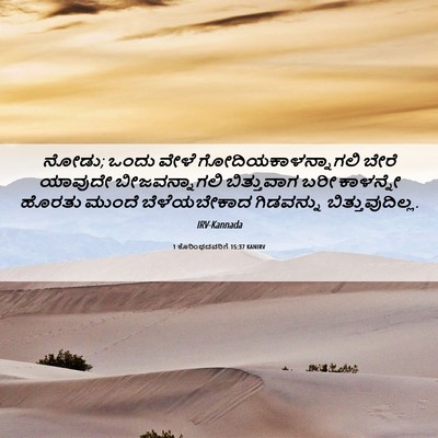 Picture 06 - 1 ಕೊರಿಂಥದವರಿಗೆ 15:37 KANIRV - ನೋಡು; ಒಂದು ವೇಳೆ - Bible Verse Picture