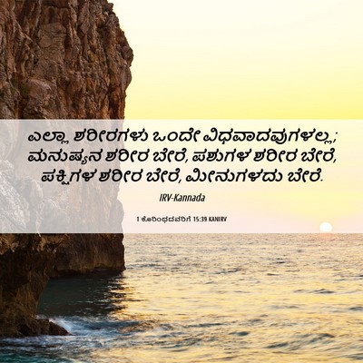 Picture 06 - 1 ಕೊರಿಂಥದವರಿಗೆ 15:39 KANIRV - ಎಲ್ಲಾ ಶರೀರಗಳು - Bible Verse Picture
