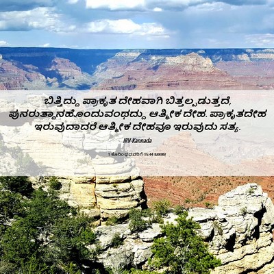 Picture 06 - 1 ಕೊರಿಂಥದವರಿಗೆ 15:44 KANIRV - ಬಿತ್ತಿದ್ದು - Bible Verse Picture